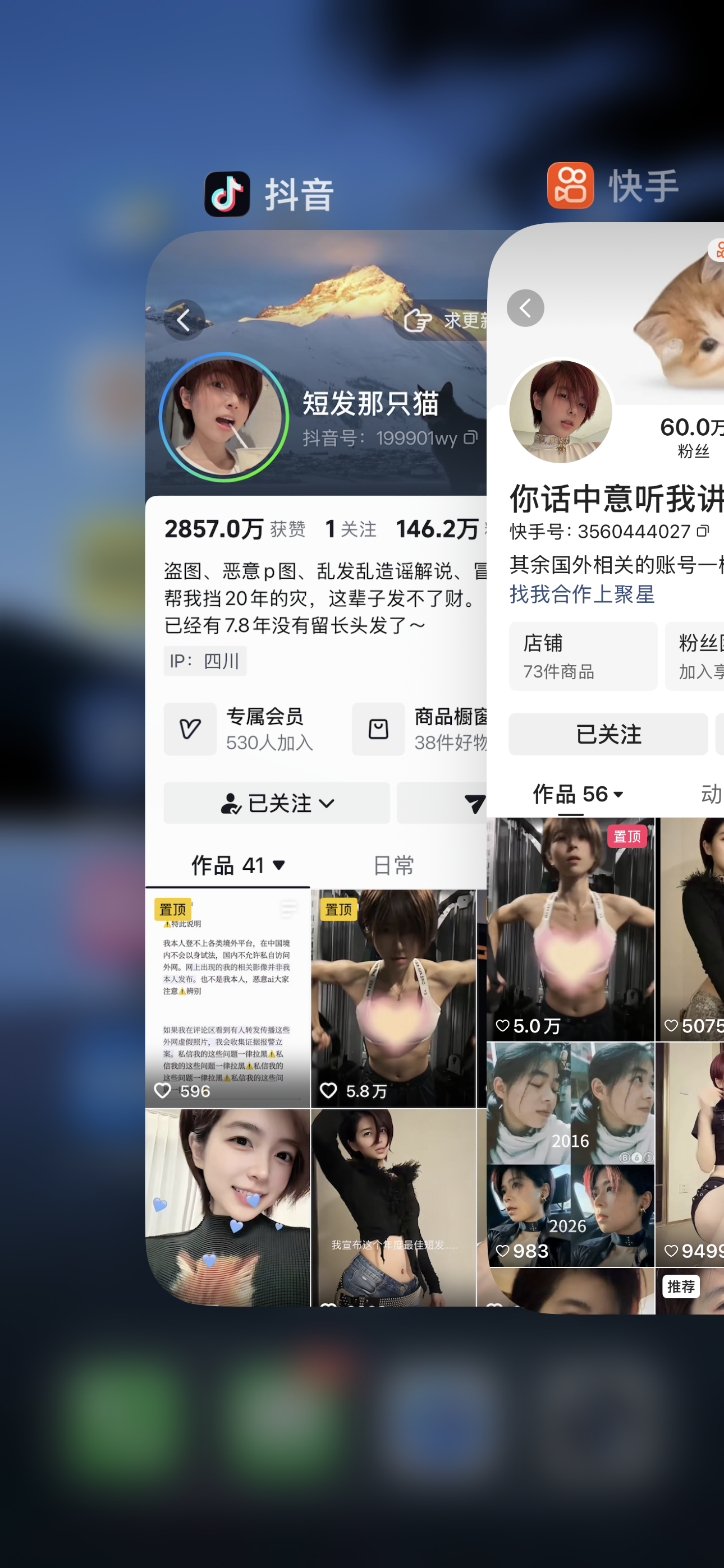 短发那只猫合集